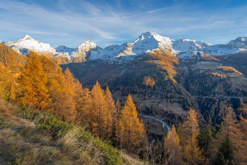 a mountain range with trees and snow covered mountains at Chalet Gerbera in Rosswald