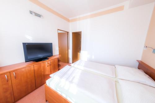 sypialnia z łóżkiem i telewizorem z płaskim ekranem w obiekcie Hotel Vsacan w mieście Vsetín
