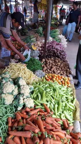 un mercado con muchas verduras en una mesa en Little Paradise Tourist Guest House and Holiday Home, en Anuradhapura