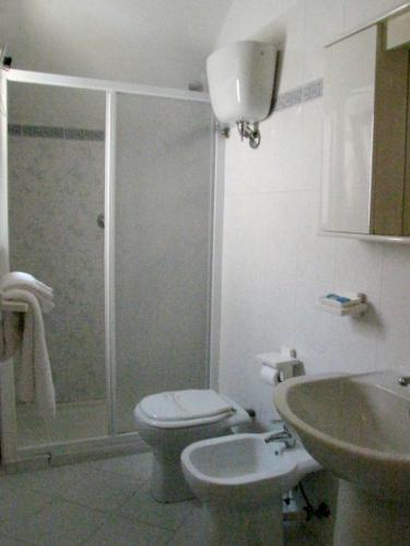 a bathroom with a shower and a toilet and a sink at Hotel Acquario in Vasto