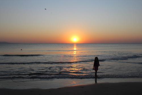 Peisaj natural din apropierea acestui apartament