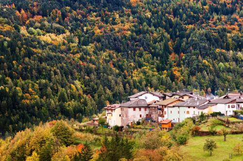 a small village on a hill with trees at Hostel L'Ost - Ostello di Grumes in Grumes