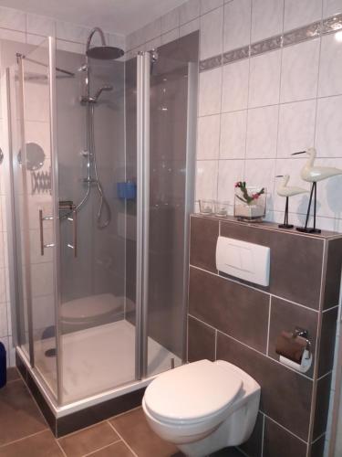 a bathroom with a shower and a toilet at Ferienwohnung Konen in Sankt Aldegund