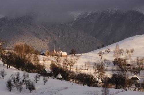 a snow covered field with houses and a mountain at Alpine Escape Studios in Măgura