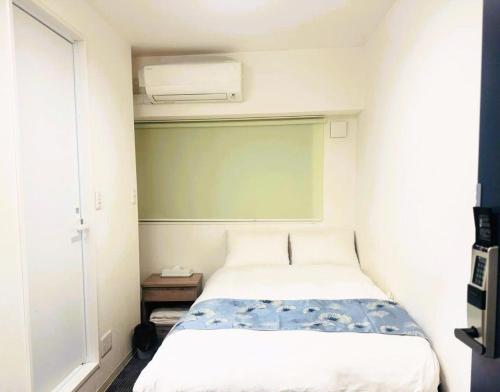 Hotel Plaisir Akihabara