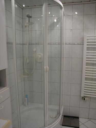 Bilik mandi di Ferienhaus Edersee