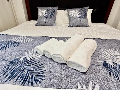 MAC HOME 101 Tokyo KING BED 2BR 500m to Kameari Station Near ARIO Mall