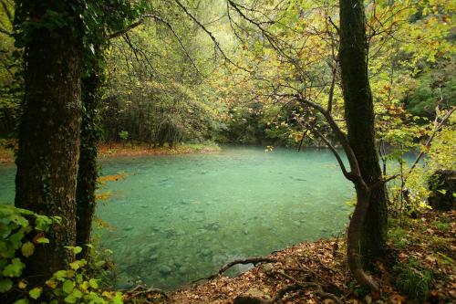 a river in the middle of a forest at Artsistas Houses in Aristi