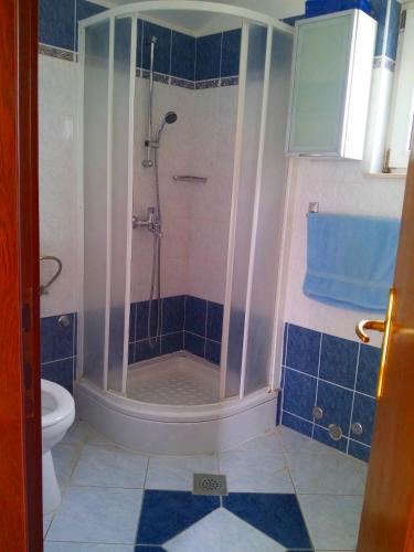 a bathroom with a shower and a toilet at Holiday home Penić in Rogoznica