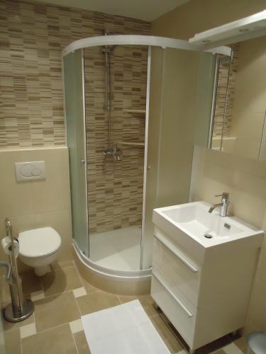 a bathroom with a shower and a toilet and a sink at Villa Grgo Apartments in Tučepi