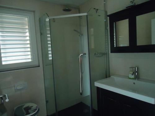 een badkamer met een douche en een wastafel bij Studios Faoug in Faoug