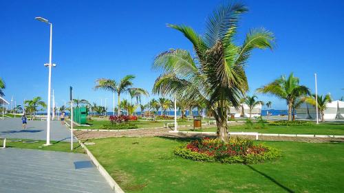 Un jardín fuera de Hotel Las Palmas