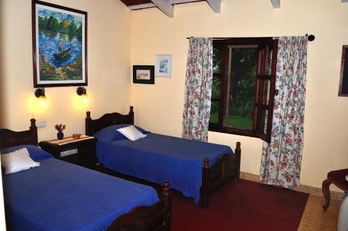 1 Schlafzimmer mit 2 Betten und einem Fenster in der Unterkunft Finca Cielo Verde in Chicoana