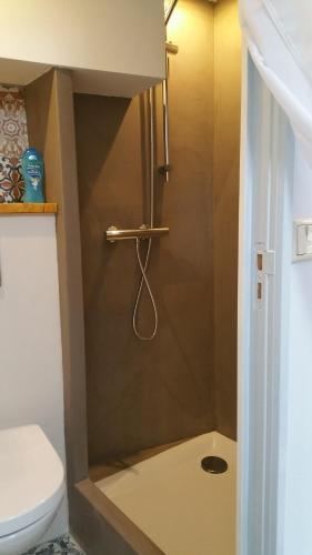 a shower stall in a bathroom with a toilet at In de Stad, en rustig als op het Platteland in Middelburg