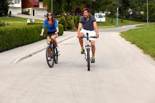 Anar amb bici a Apartments Beeland Skok o pels voltants