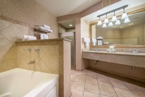 a bathroom with a tub and a sink and a mirror at Red Lion Hotel Pasco Airport & Conference Center in Pasco