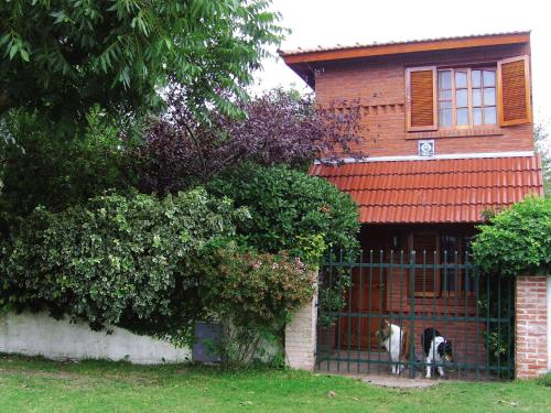 two dogs standing behind a gate in a house at Cabañas El Maiten in San Clemente del Tuyú
