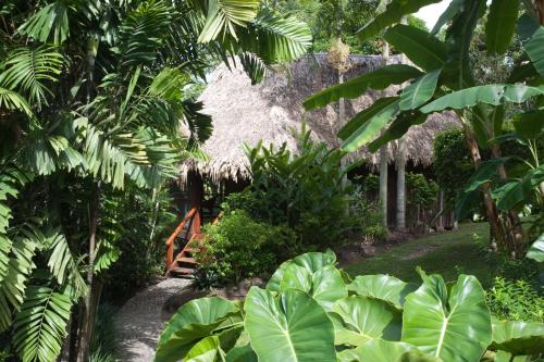 a path through a garden with a thatch roof at Blancaneaux Lodge by Francis Ford Coppola in San Ignacio