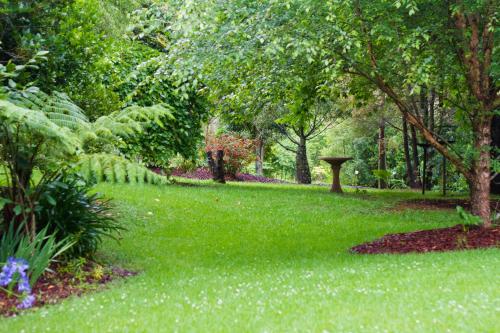 a park with a green lawn with trees and flowers at Mt Glorious Getaways in Mount Glorious
