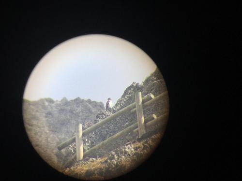 Φωτογραφία από το άλμπουμ του El Invernal de Picos σε Portilla de la Reina