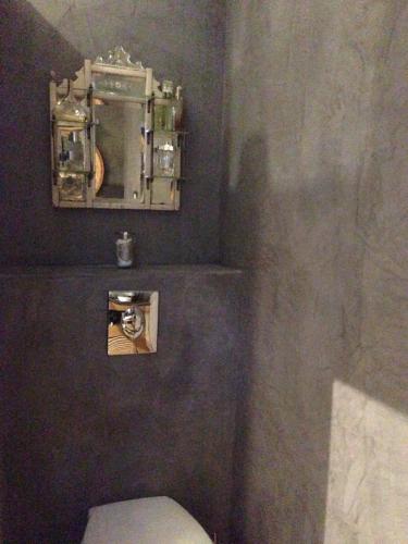 une salle de bain avec toilettes et un miroir au mur dans l'établissement La Calade, à Lourmarin