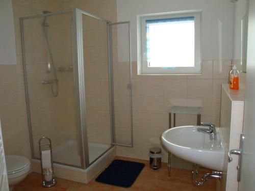 a bathroom with a shower and a sink at Ferienhof Lilienstein in Bad Schandau
