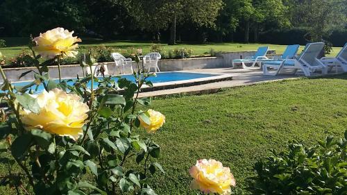 un patio con sillas, piscina y flores en La Cle des Champs en Provency