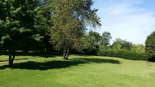 a green field with two trees in the grass at La Cle des Champs in Provency