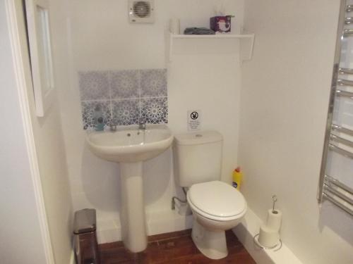 a small bathroom with a toilet and a sink at Pleck Barn B&B in Ansty