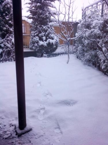 Snow King Retreat - The Heaven v zimě