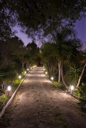 a long road with palm trees and lights at night at La Careza De Mijas - Adults Only in Mijas