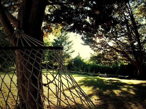 una red envuelta alrededor de un árbol en un campo en La Francigena, en Staggia