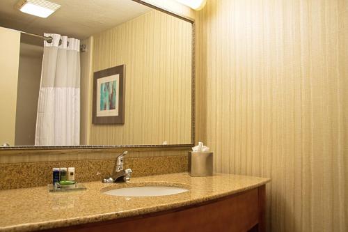 Ett badrum på Radisson Hotel & Conference Center Coralville - Iowa City