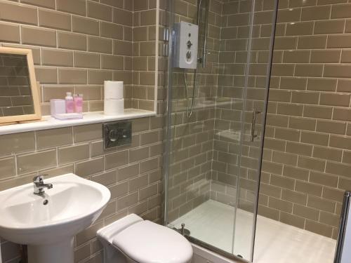 La salle de bains est pourvue d'une douche, de toilettes et d'un lavabo. dans l'établissement The Buck Inn, à Richmond