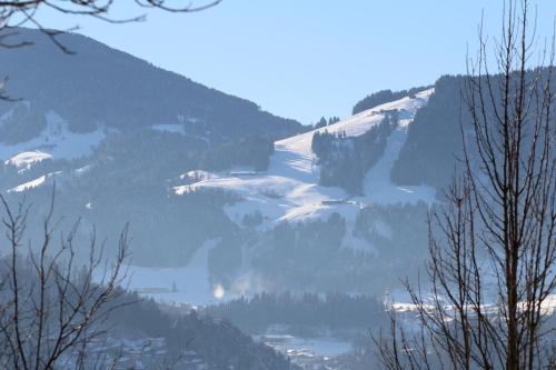 a mountain covered in snow with trees on it at Pension Christoph in Kramsach