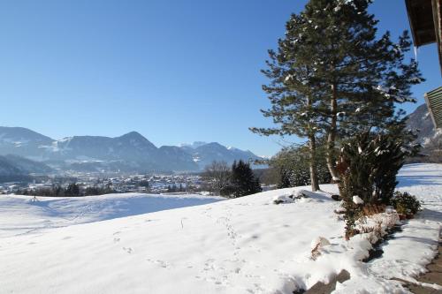 a snow covered hill with a tree on top of it at Pension Christoph in Kramsach