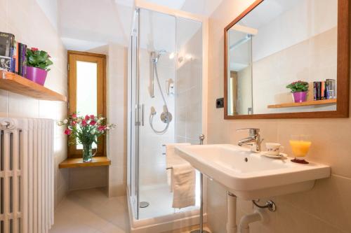 a bathroom with a sink and a shower at B&B Il Bucaneve in Crissolo