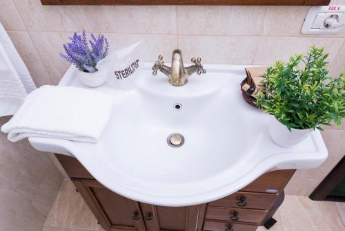 a bathroom sink with two potted plants on it at Karlhof in Sebeş