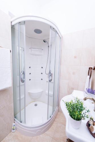 a bathroom with a shower and a toilet and a sink at Karlhof in Sebeş