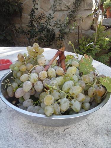 Makanan di atau berdekatan apartmen