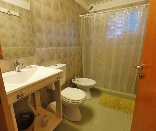 a bathroom with a toilet and a sink and a shower at Camino de los Pioneros in El Bolsón