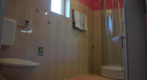 y baño con aseo y ducha. en Apartment Julietta, en Pirovac