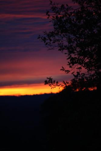 a sunset with a tree in the foreground at Reethus Stöfs in Behrensdorf