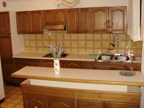 Η κουζίνα ή μικρή κουζίνα στο Apartments Dragan