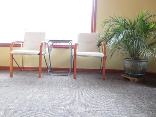 two chairs and a table in a room with a plant at Hotel Estación Sabana in Zipaquirá