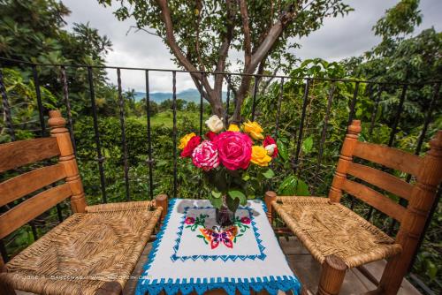 Κήπος έξω από το Hotel Casa Pomarrosa