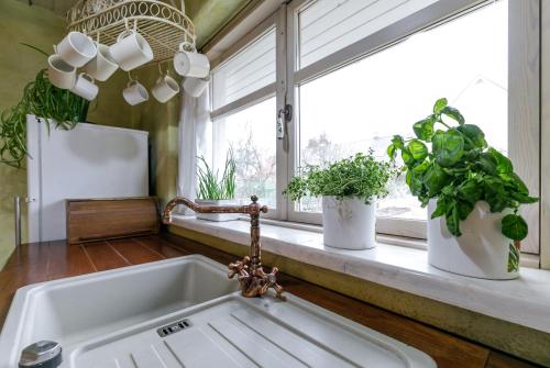 a kitchen sink with two potted plants on a windowsill at House in the City in Tallinn