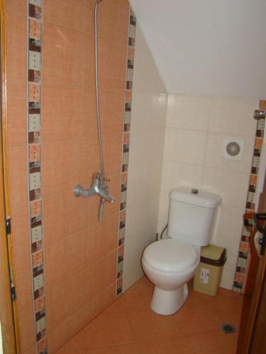 a bathroom with a toilet and a shower at Alexander Lozenets Beach Complex Apartment in Lozenets