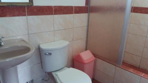 a bathroom with a white toilet and a sink at Nasca Trails B&B in Nazca