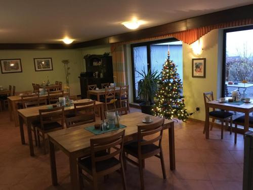 Café & Pension Meine Sonne ... Sole Mio في باد سودين-أليندورف: شجرة عيد الميلاد في غرفة الطعام في مطعم